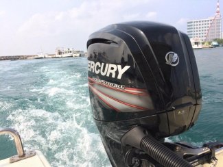 Outboard Motor by Mercury Marine for fishing at Gordon Bay near Muskoka and Toronto.